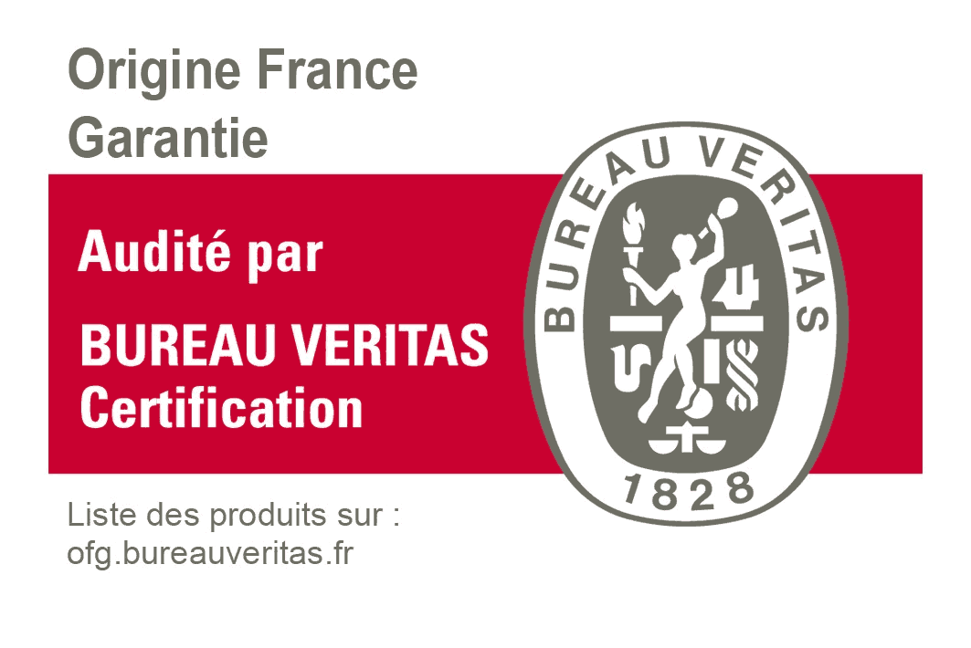 logo veritas