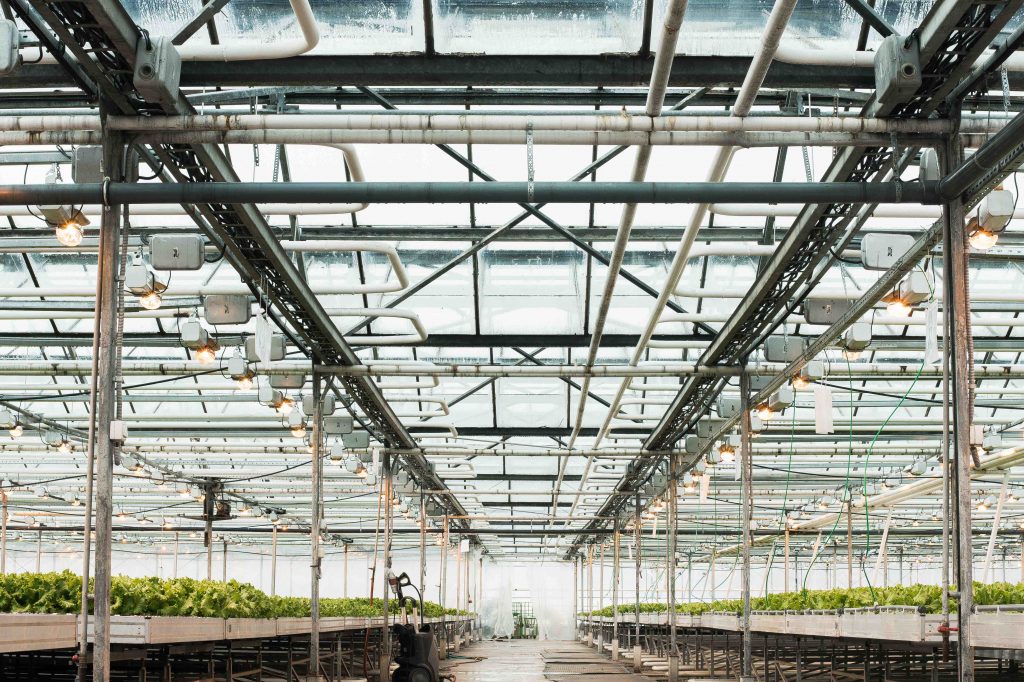 Dispensary facility maintenance