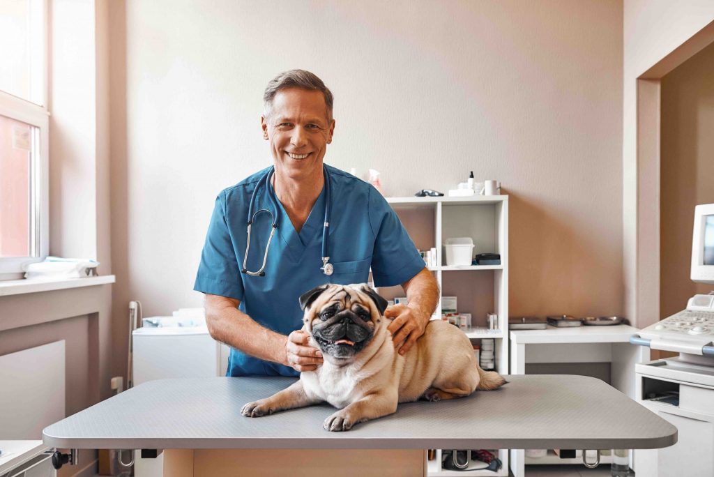 Pet care facility maintenance