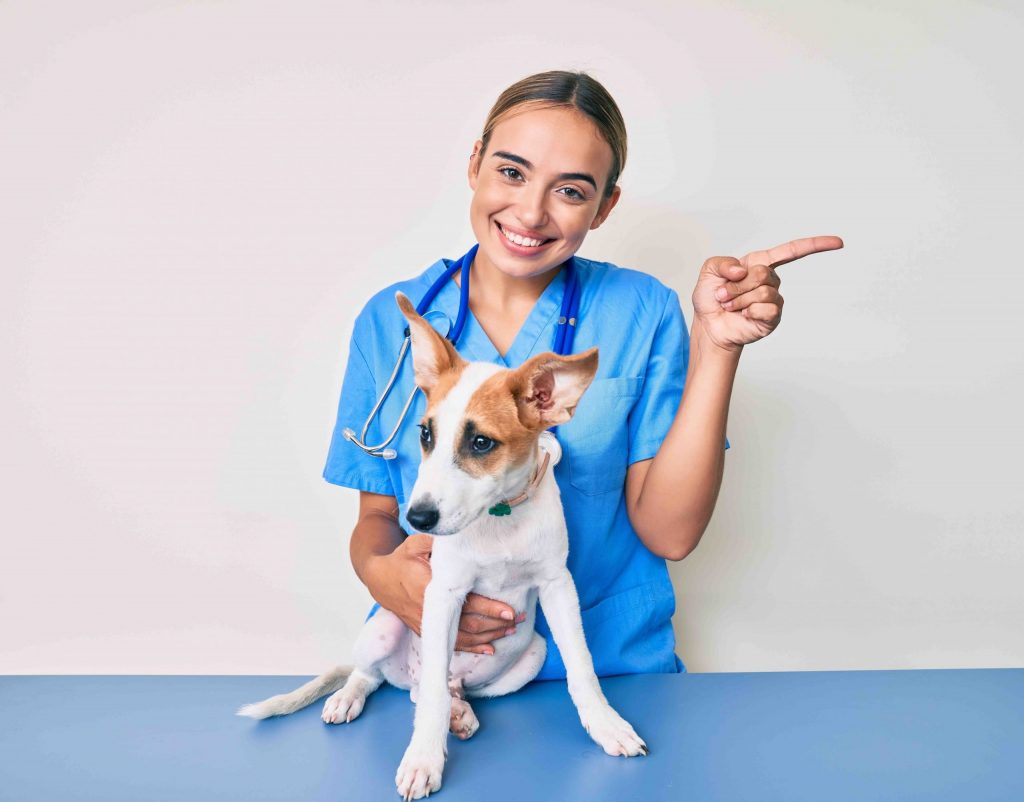 Pet care facility maintenance