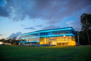 Commercial Landscaping Maintenance