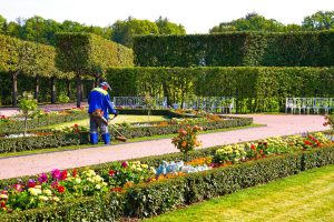 ground maintenance